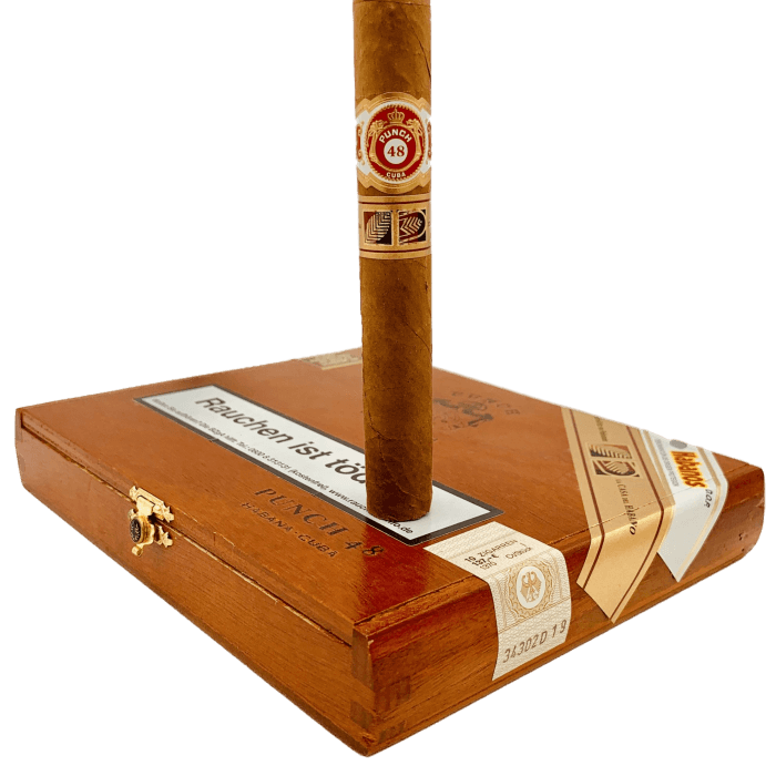 Punch Punch 48 LCDH / HS