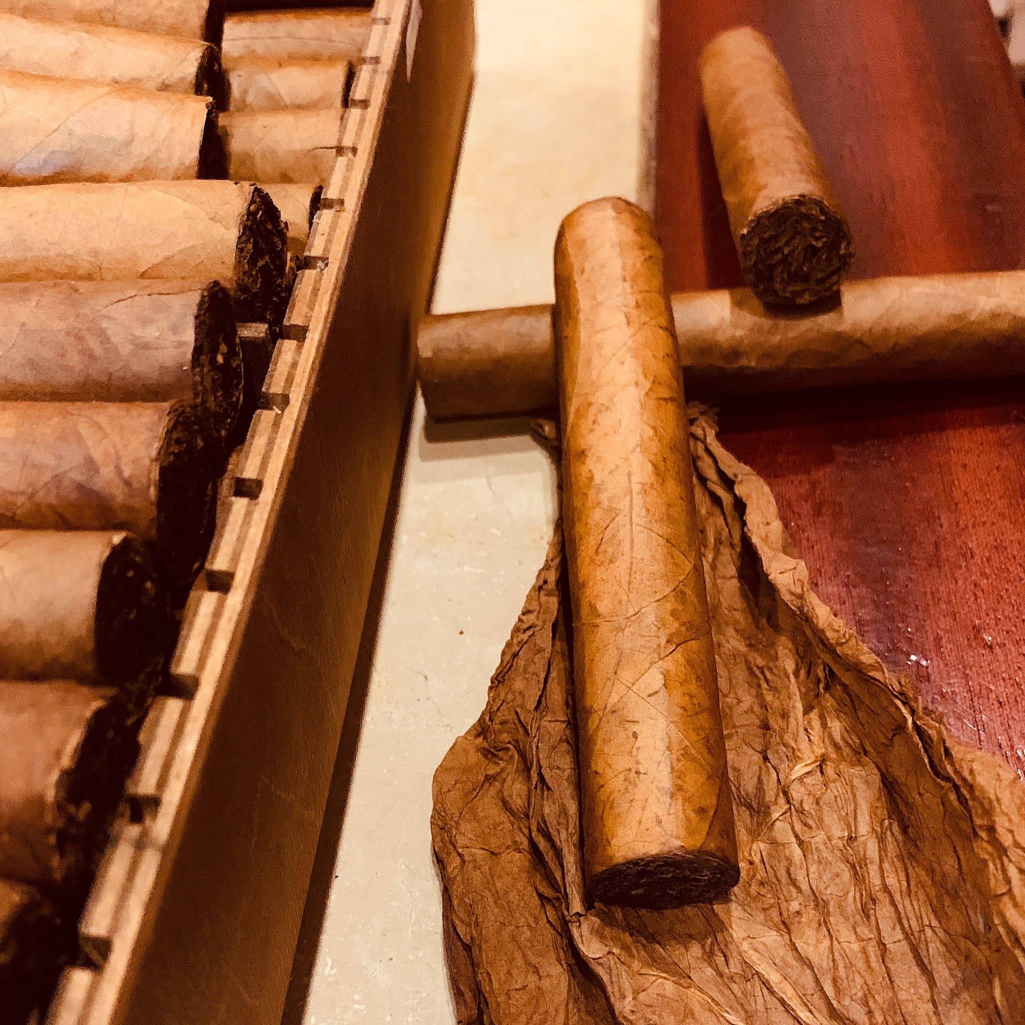 Zigarren in Holzbox und auf Tabakblatt